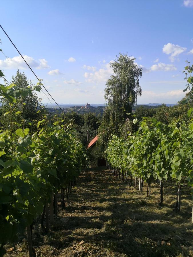 Vikendica Širec Villa Ptujska Gora Esterno foto